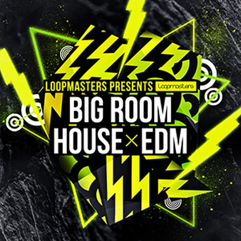 LOOPMASTERS BIG ROOM HOUSE & EDM(オンライン納品)(2時間以内に納品)