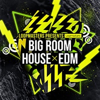 BIG ROOM HOUSE & EDM