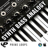 MULTI SYNTH BASS ANALOGY