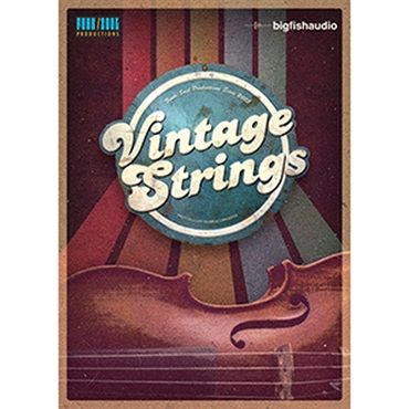 BIG FISH AUDIO VINTAGE STRINGS(オンライン納品)(2時間以内に納品)