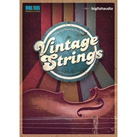 VINTAGE STRINGS(オンライン納品)(2時間以内に納品)