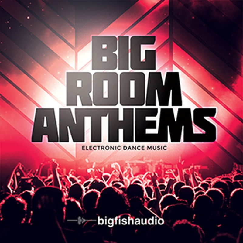BIG FISH AUDIO BIG ROOM ANTHEMS(オンライン納品)(2時間以内に納品)