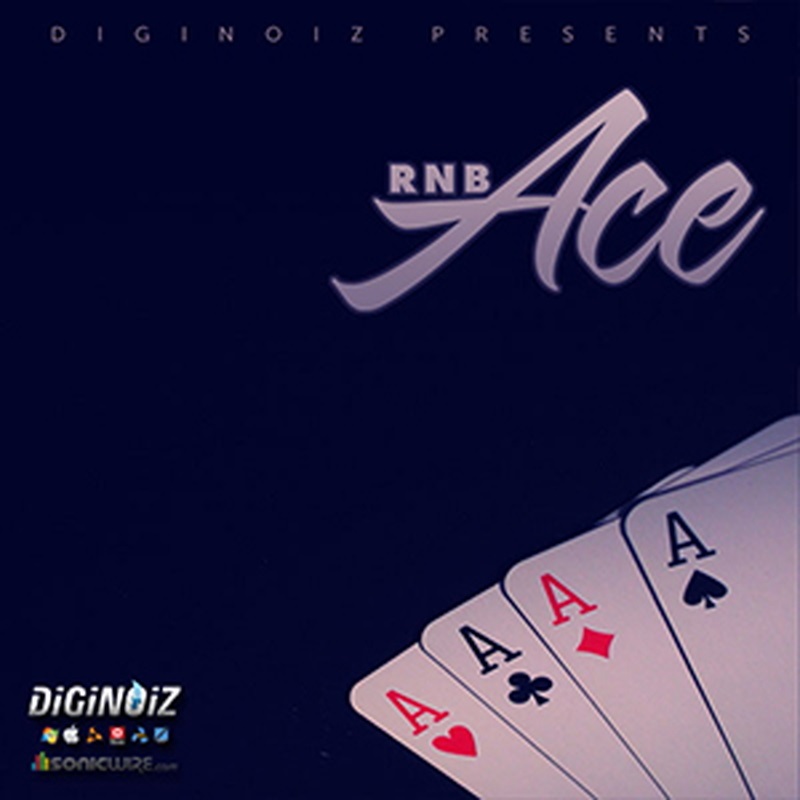 DIGINOIZ R&B ACE(オンライン納品)(2時間以内に納品)