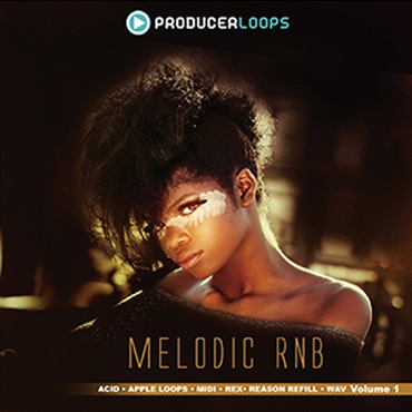 PRODUCER LOOPS MELODIC RNB VOL.1(オンライン納品)(2時間以内に納品)