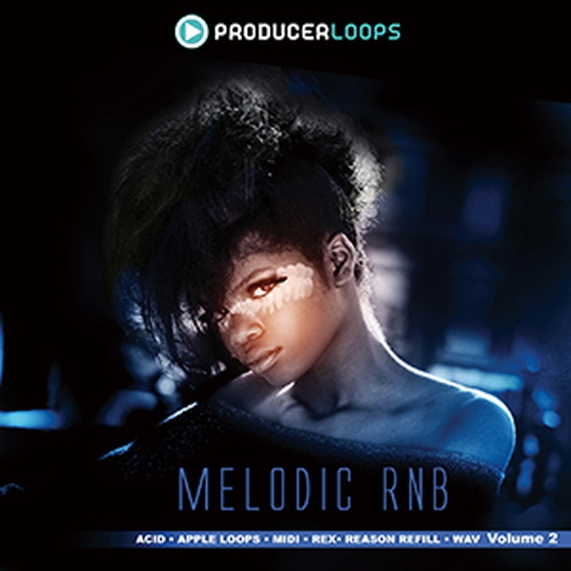 PRODUCER LOOPS MELODIC RNB VOL.2(オンライン納品)(2時間以内に納品)