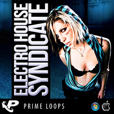ELECTRO HOUSE SYNDICATE(オンライン納品)(2時間以内に納品)