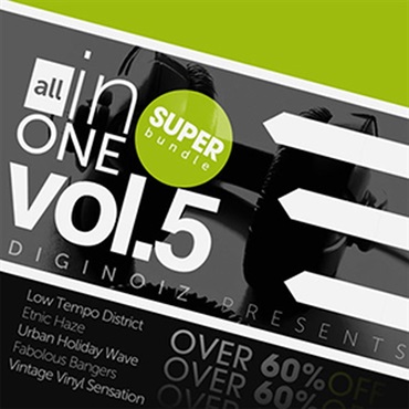 DIGINOIZ ALL IN ONE 5 SUPER BUNDLE(オンライン納品)(2時間以内に納品)