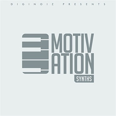 DIGINOIZ MOTIVATION SYNTHS(オンライン納品)(2時間以内に納品)
