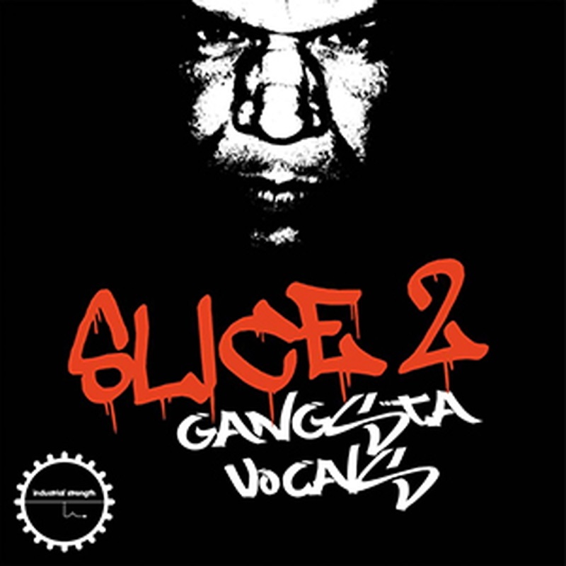 INDUSTRIAL STRENGTH DJ SYKOPATH SLICE VOL 2 - GANGSTA VOCALS(オンライン納品)(2時間以内に納品)