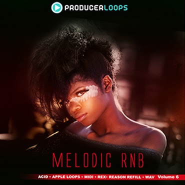MELODIC RNB VOL 6(オンライン納品)(2時間以内に納品)