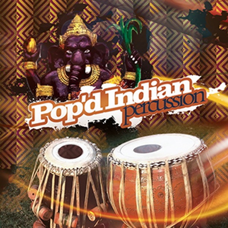 BIG FISH AUDIO POP'D INDIAN PERCUSSION(オンライン納品)(2時間以内に納品)