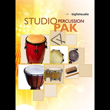 BIG FISH AUDIO STUDIO PERCUSSION PAK(オンライン納品)(2時間以内に納品)