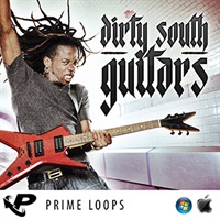 DIRTY SOUTH GUITARS(オンライン納品)(2時間以内に納品)