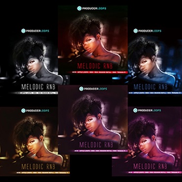 PRODUCER LOOPS MELODIC RNB BUNDLE (VOLS 1-6)(オンライン納品)(2時間以内に納品)
