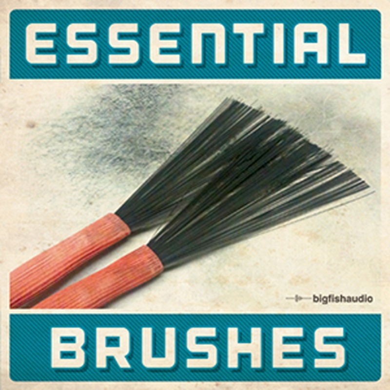 BIG FISH AUDIO ESSENTIAL BRUSHES(オンライン納品)(2時間以内に納品)
