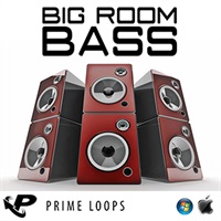 BIG ROOM BASS