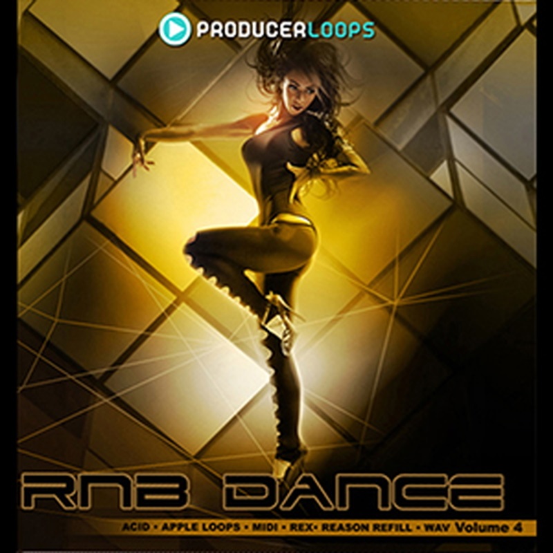 PRODUCER LOOPS RNB DANCE VOL 4(オンライン納品)(2時間以内に納品)