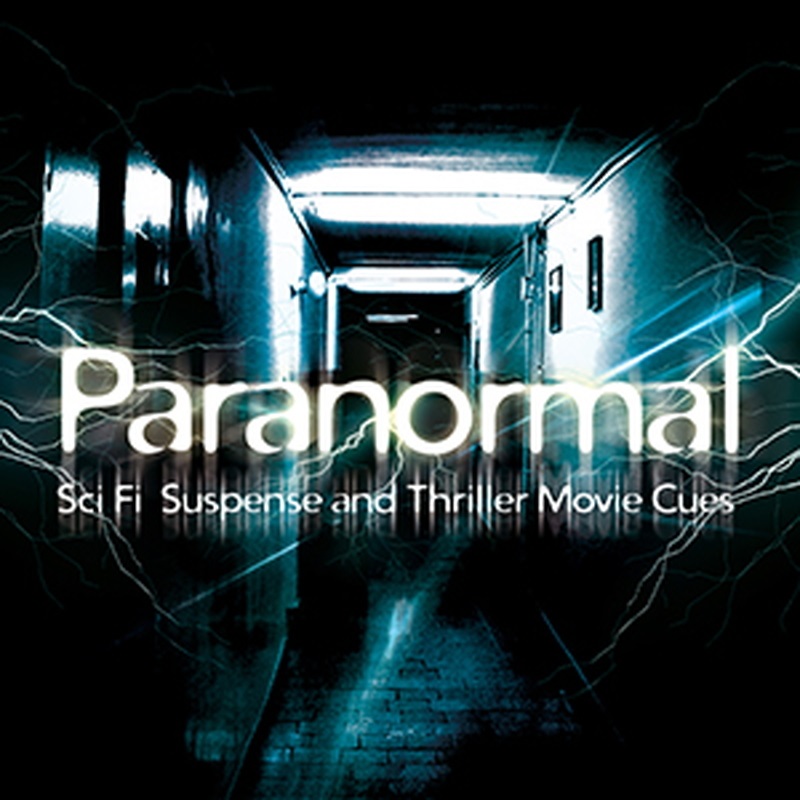 BIG FISH AUDIO PARANORMAL(オンライン納品)(2時間以内に納品)