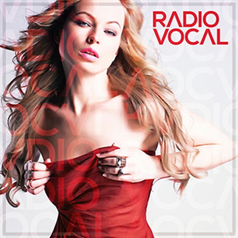 DIGINOIZ RADIO VOCAL(オンライン納品)(2時間以内に納品)