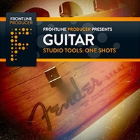 【厳選サンプルパック・シンセプリセットが約40%OFF！】GUITAR ONE SHOTS(オンライン納品)(2時間以内に納品)