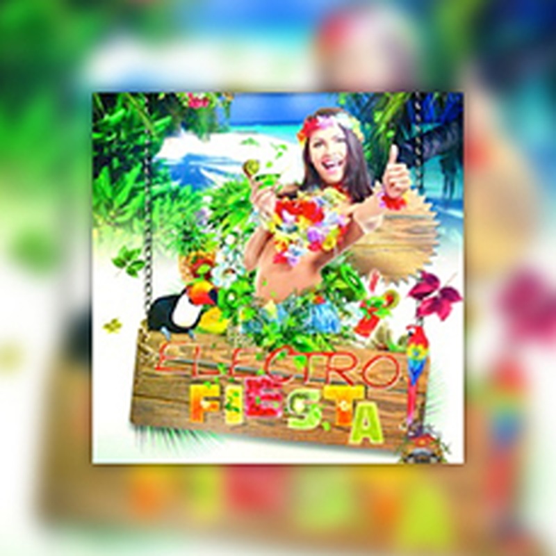 BIG FISH AUDIO ELECTRO FIESTA(オンライン納品)(2時間以内に納品)