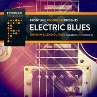 【厳選サンプルパック・シンセプリセットが約40%OFF！】ELECTRIC BLUES - RHYTHM & LEAD GUITARS(オンライン納品)(2時間以内に納品)