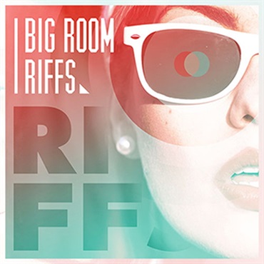 BIG ROOM RIFFS(オンライン納品)(2時間以内に納品)