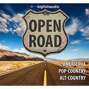 BIG FISH AUDIO OPEN ROAD(オンライン納品)(2時間以内に納品)