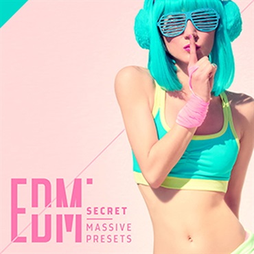 DIGINOIZ EDM SECRET - MASSIVE PRESETS(オンライン納品)(2時間以内に納品)