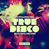 TRUE DISCO