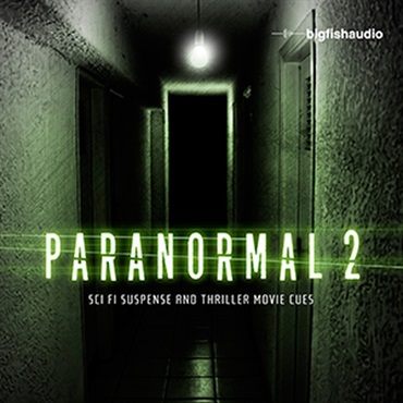 BIG FISH AUDIO PARANORMAL 2(オンライン納品)(2時間以内に納品)