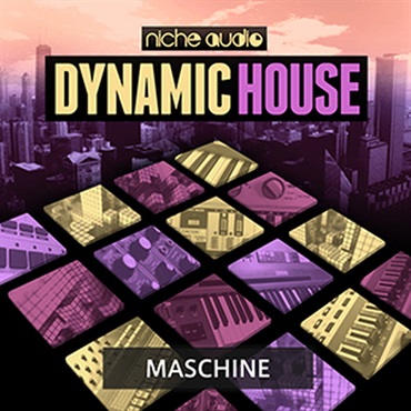 NICHE AUDIO DYNAMIC HOUSE - MASCHINE(オンライン納品)(2時間以内に納品)