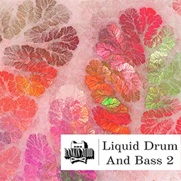 RANKIN AUDIO LIQUID DRUM & BASS 2(オンライン納品)(2時間以内に納品)