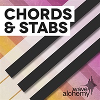 CHORDS & STABS(オンライン納品)(2時間以内に納品)