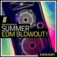 SUMMER EDM BLOWOUT(オンライン納品)(2時間以内に納品)