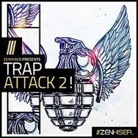 TRAP ATTACK 2!(オンライン納品)(2時間以内に納品)