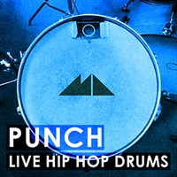 PUNCH(オンライン納品)(2時間以内に納品)