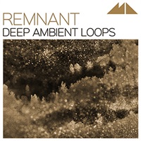 REMNANT(オンライン納品)(2時間以内に納品)