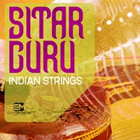 SITAR GURU - INDIAN STRINGS(オンライン納品)(2時間以内に納品)