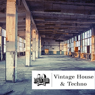 RANKIN AUDIO VINTAGE HOUSE & TECHNO(オンライン納品)(2時間以内に納品)
