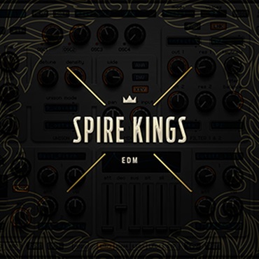DIGINOIZ SPIRE KINGS - EDM(オンライン納品)(2時間以内に納品)