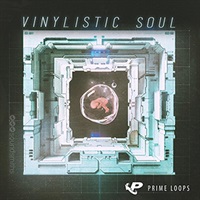 VINYLISTIC SOUL(オンライン納品)(2時間以内に納品)