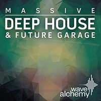 DEEP HOUSE & FUTURE GARAGE - MASSIVE(オンライン納品)(2時間以内に納品)