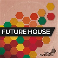 FUTURE HOUSE(オンライン納品)(2時間以内に納品)
