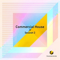 COMMERCIAL HOUSE SESSION 2