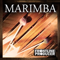 【厳選サンプルパック・シンセプリセットが約40%OFF！】MARIMBA(オンライン納品)(2時間以内に納品)