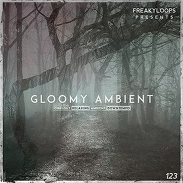 FREAKY LOOPS GLOOMY AMBIENT(オンライン納品)(2時間以内に納品)