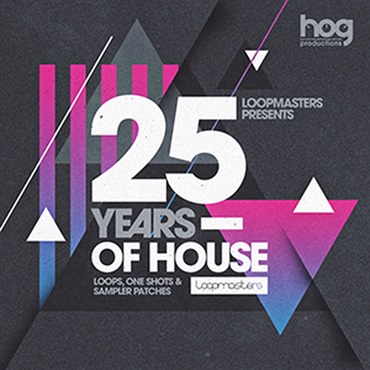 GIANNI BINI PRESENTS 25 YEARS OF HOUSE(オンライン納品)(2時間以内に納品)