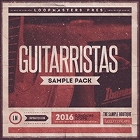 GUITARRISTAS