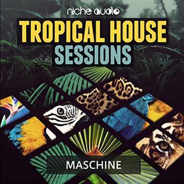 NICHE AUDIO TROPICAL HOUSE SESSIONS - MASCHINE 2(オンライン納品)(2時間以内に納品)